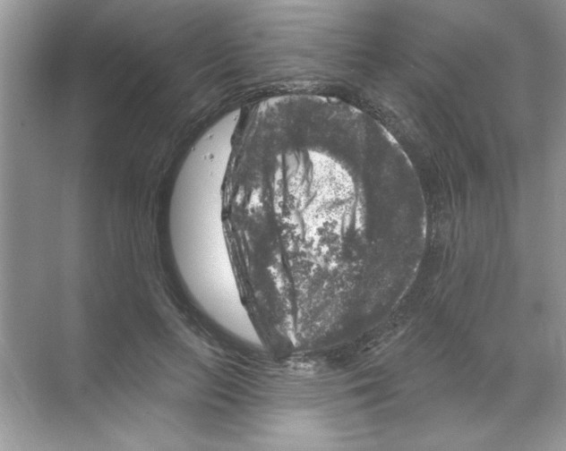 X0000068890647200606021920