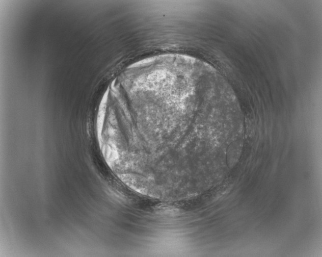 X0000068890648200606021920