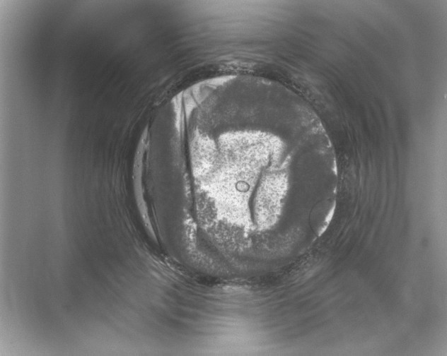 X0000068890649200606021920