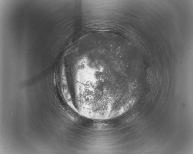 X0000068890650200606021920