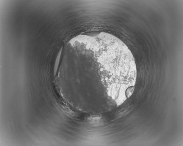 X0000068890651200606021920