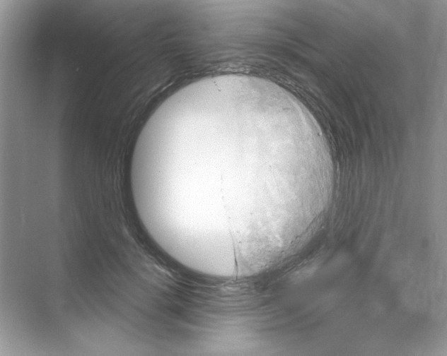 X0000068890652200606021920