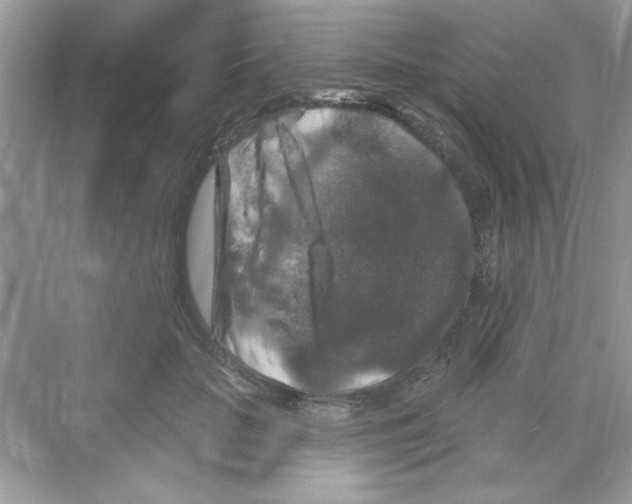 X0000068890653200606021920