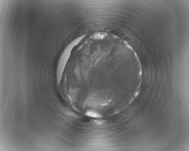 X0000068890654200606021920