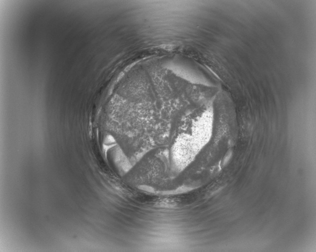 X0000068890656200606021921