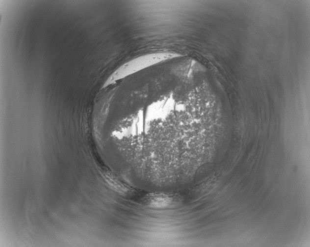 X0000068890658200606021921