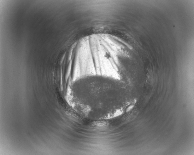 X0000068890659200606021921