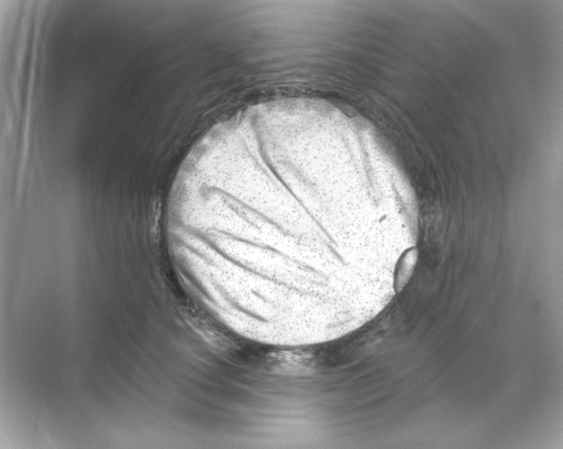 X0000068890660200606021921