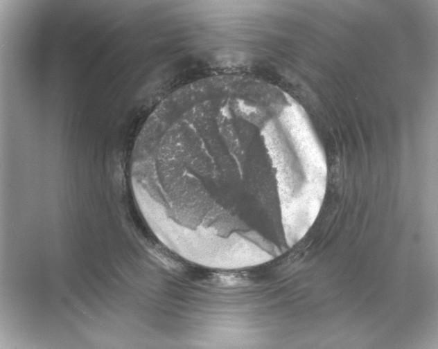 X0000068890662200606021921