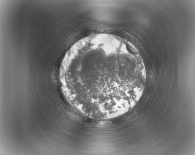 X0000068890663200606021921