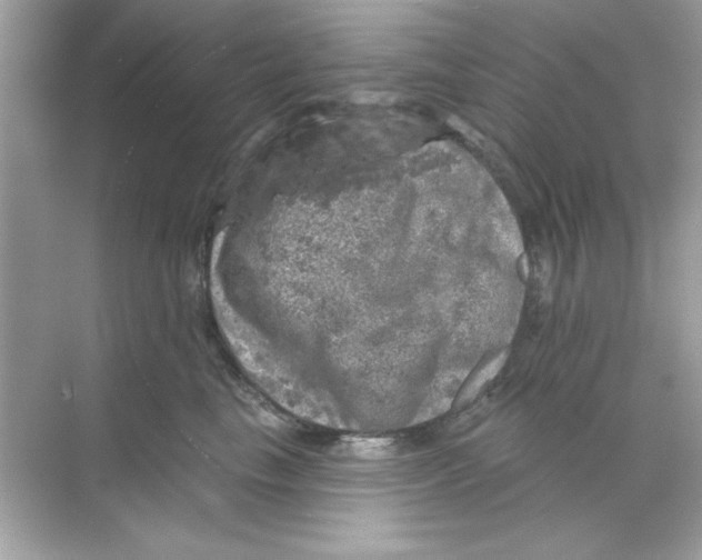 X0000068890665200606021921