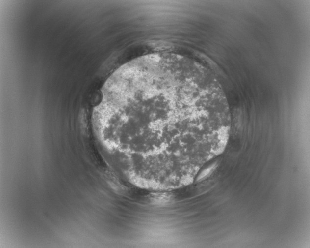 X0000068890667200606021921