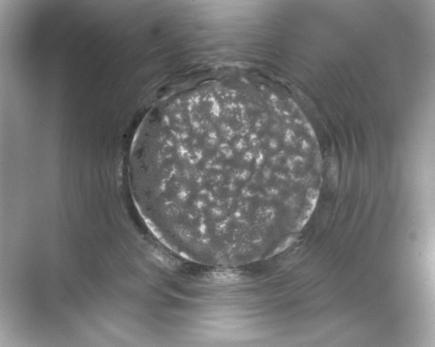 X0000068890668200606021921