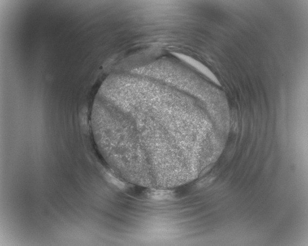 X0000068890670200606021921