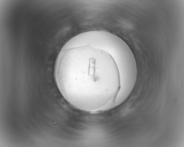 X0000068890672200606021921