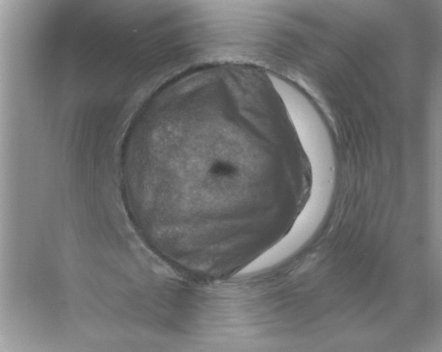 X0000068890673200606021920