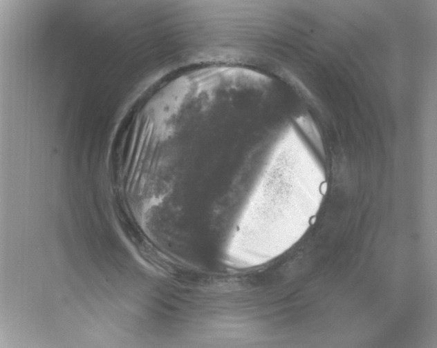 X0000068890674200606021920