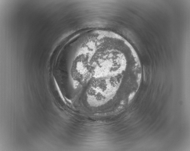 X0000068890675200606021920