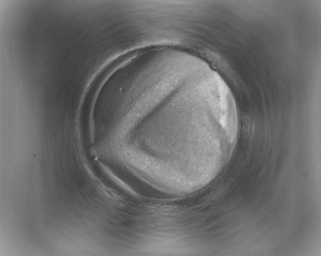 X0000068890676200606021920