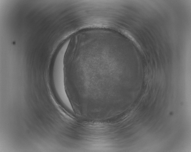 X0000068890677200606021920