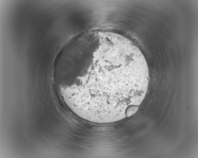 X0000068890679200606021920