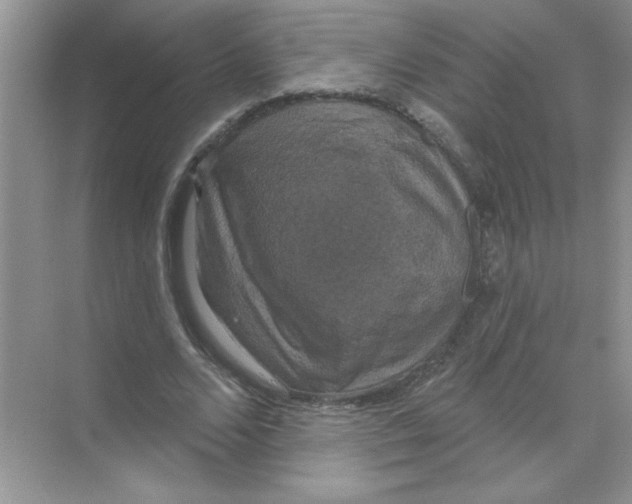 X0000068890680200606021920