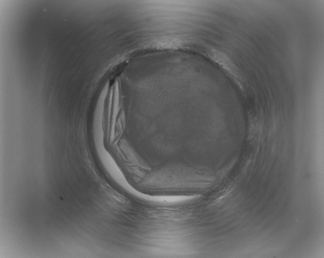 X0000068890681200606021920