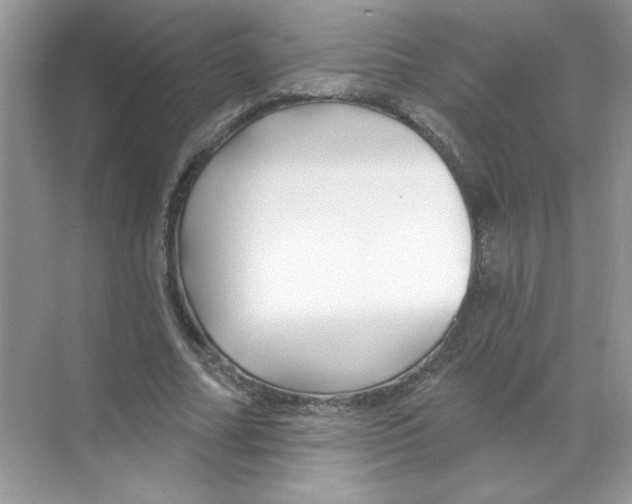 X0000068890682200606021920