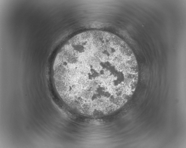 X0000068890683200606021920