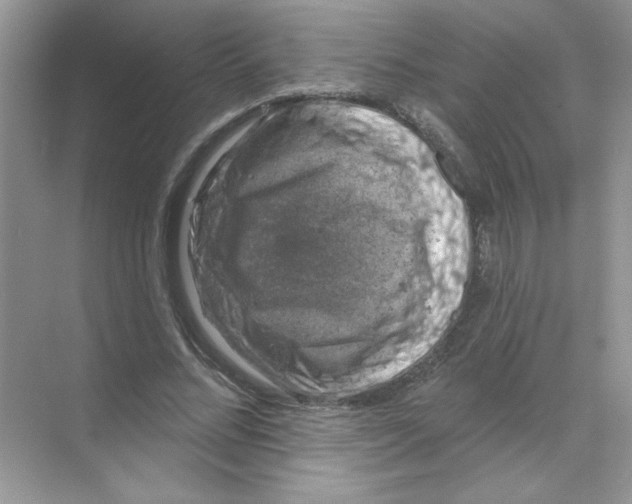 X0000068890684200606021920