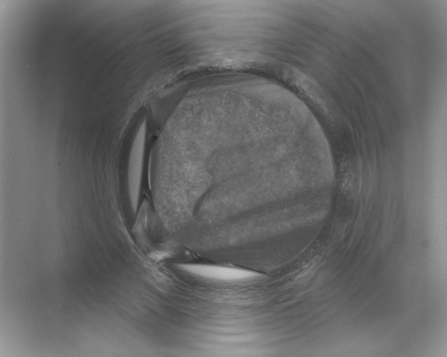 X0000068890685200606021920