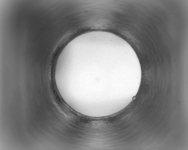 X0000068890686200606021920