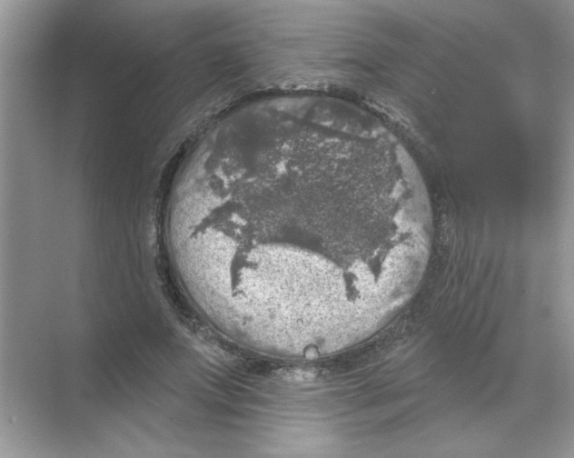 X0000068890687200606021920