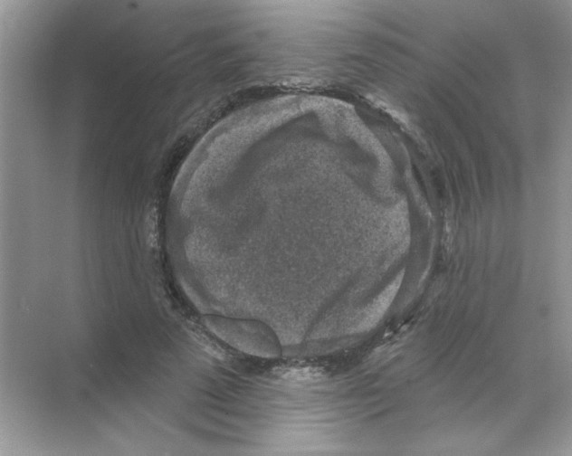 X0000068890689200606021920