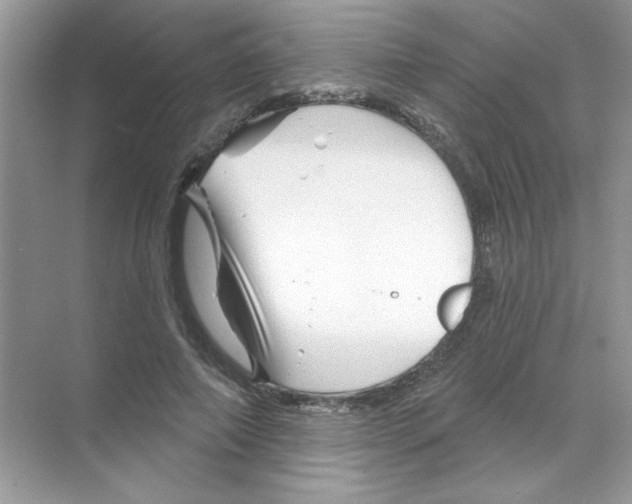 X0000068890690200606021920