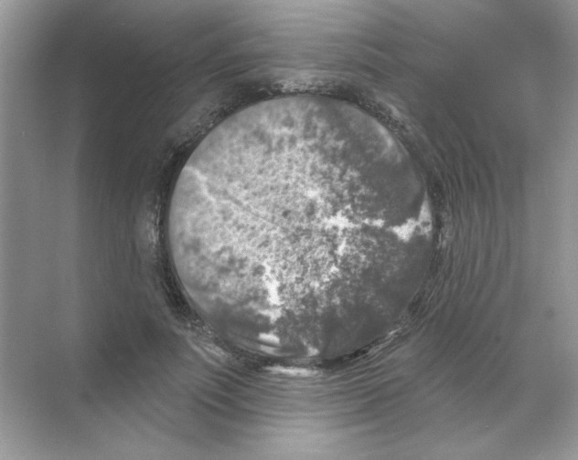 X0000068890691200606021920