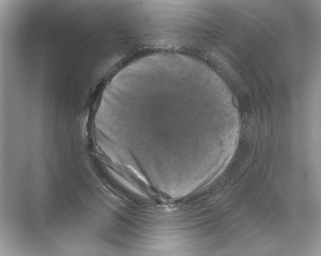 X0000068890692200606021920