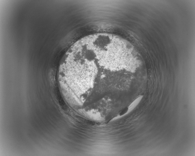 X0000068890695200606021920