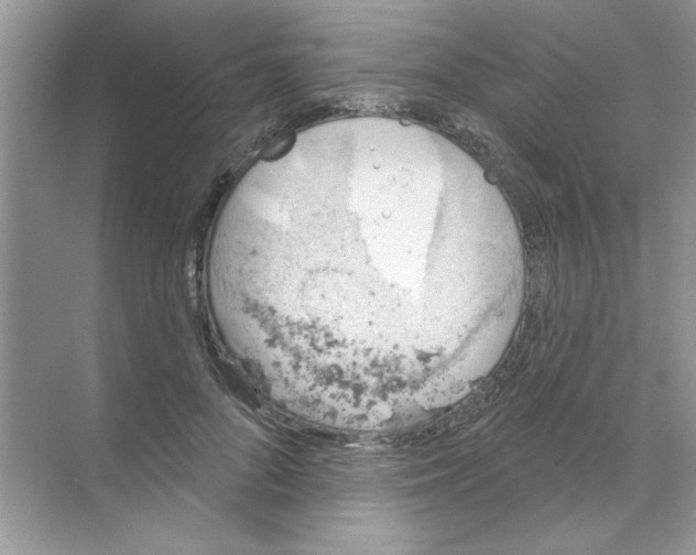 X0000068890696200606021920