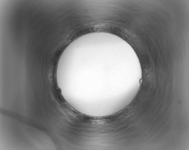 X0000068890698200606021920