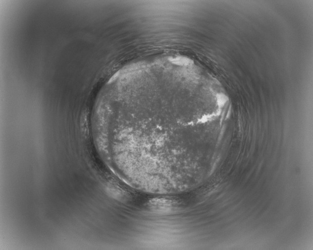 X0000068890699200606021920