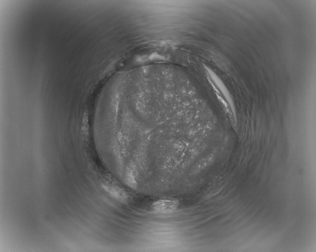 X0000068890700200606021920