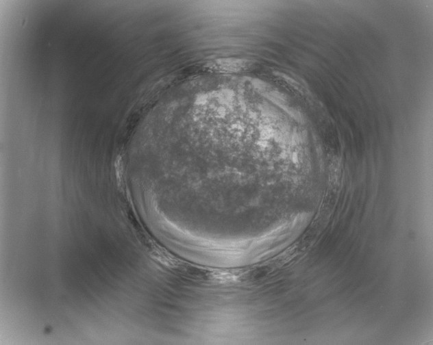 X0000068890701200606021920