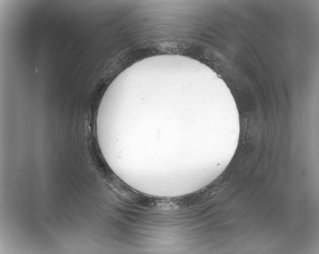 X0000068890702200606021919