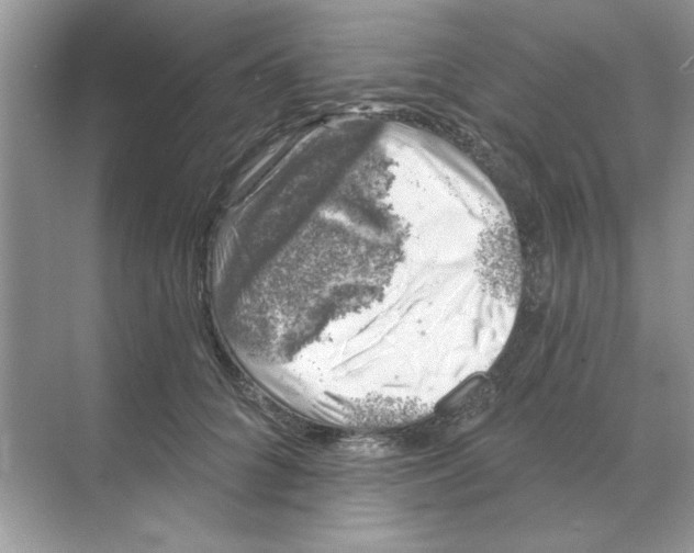 X0000068890704200606021919