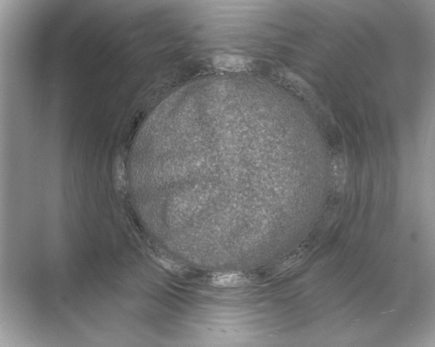 X0000068890705200606021919