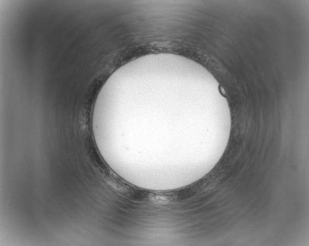 X0000068890706200606021919