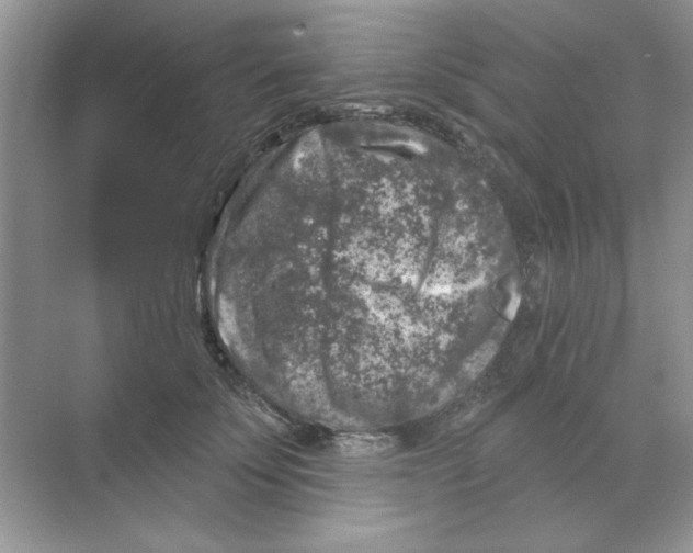 X0000068890707200606021919