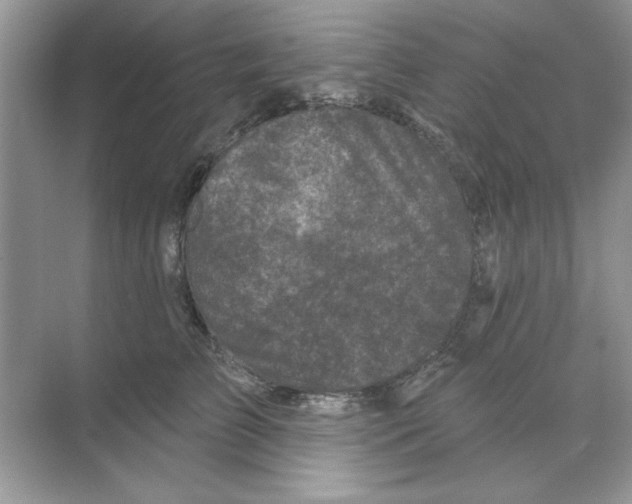 X0000068890709200606021919