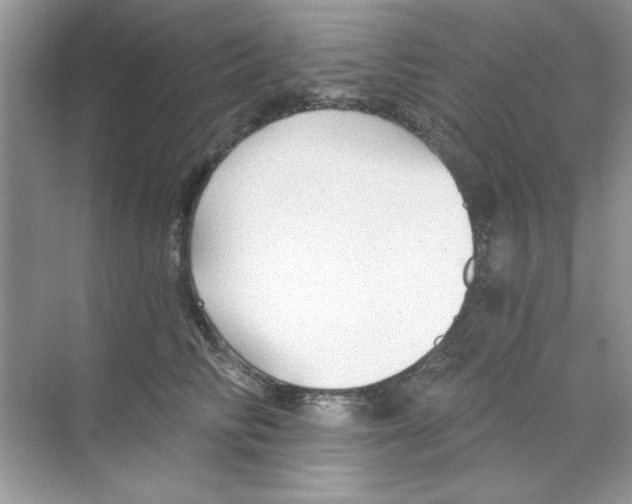 X0000068890710200606021919